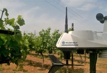 Precision Farming: Greek agtech companies develop affordable solutions for improved location tracking in the field