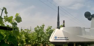 Precision Farming: Greek agtech companies develop affordable solutions for improved location tracking in the field