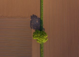 Συνδυάζοντας τις τεχνολογίες Galileo, EGNOS και Copernicus για μια βιώσιμη γεωργία