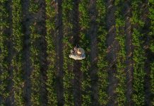 Πώς θα μπορούσε το EGNOS να βελτιώσει τις εργασίες καλλιέργειας των καλλιεργειών