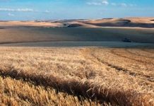 30 Χρήσεις ή Εφαρμογές GPS στη Γεωργία